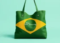 Novas Atualizações no Bolsa Família e Gás do Povo em Junho