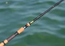 vara para pesca esportiva